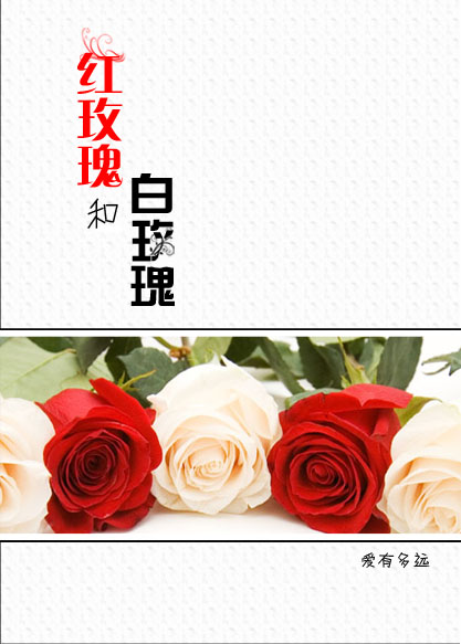 红玫瑰和白玫瑰GL最新章节
